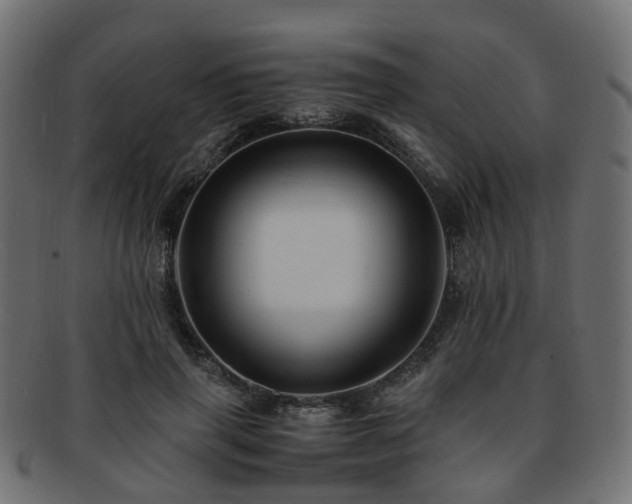 X0000093230645200709261653