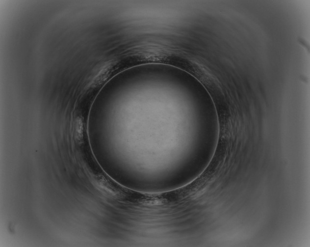 X0000093230646200709261653
