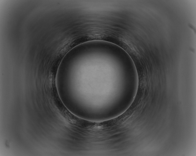 X0000093230647200709261653