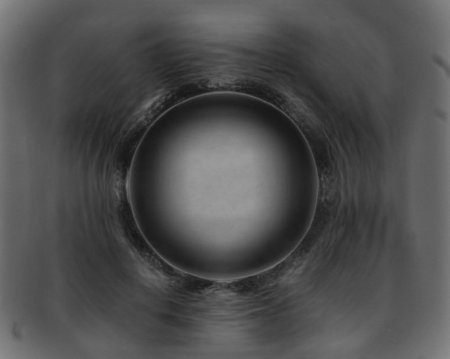 X0000093230648200709261653