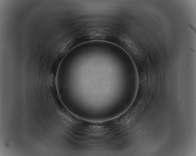 X0000093230649200709261653