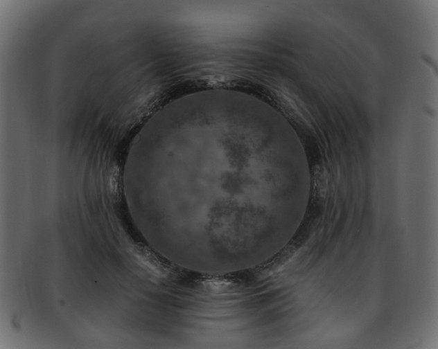 X0000093230650200709261653