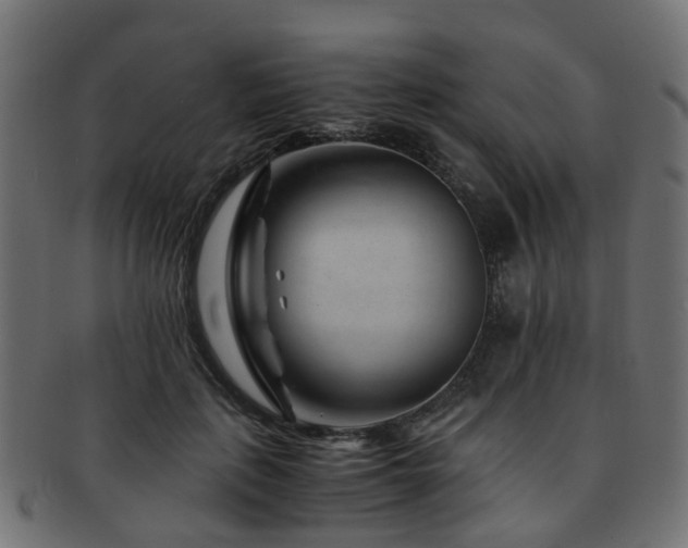 X0000093230651200709261653