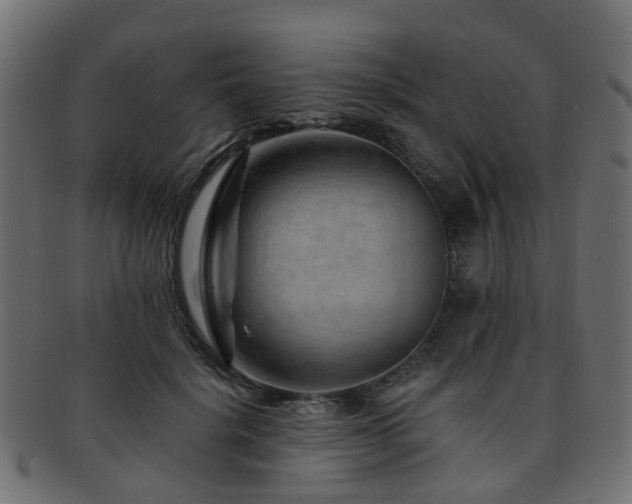 X0000093230652200709261653