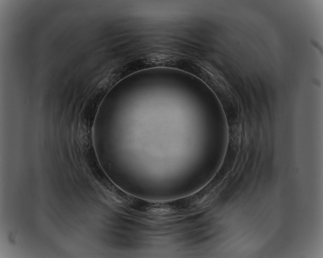 X0000093230653200709261653