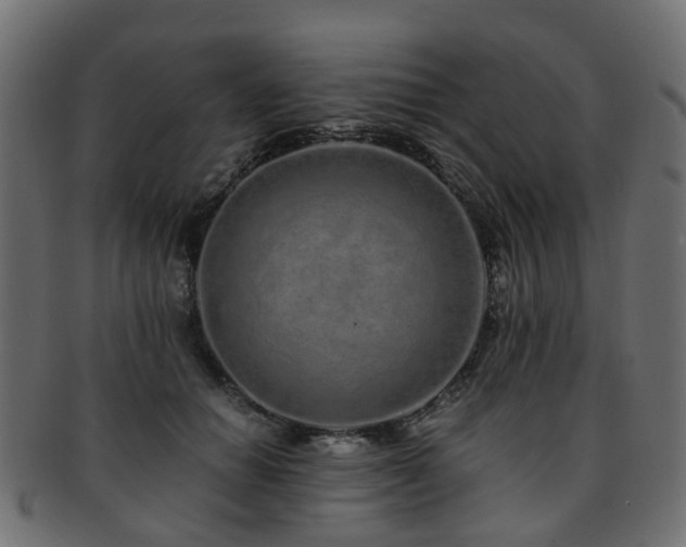X0000093230654200709261653