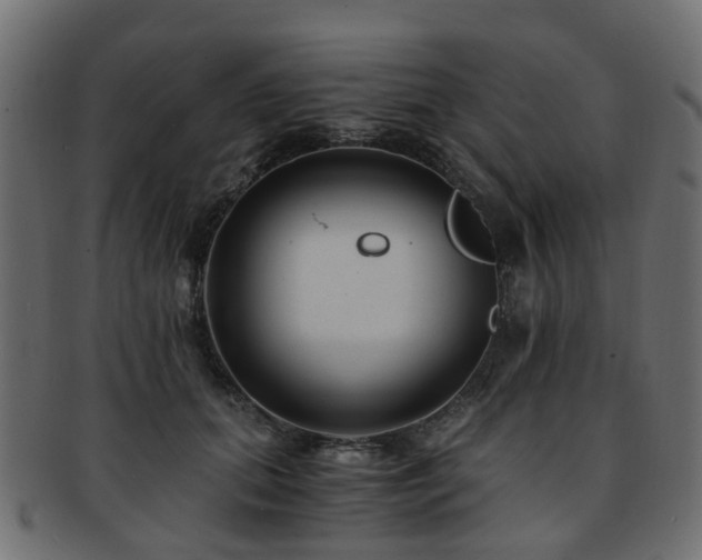 X0000093230655200709261653