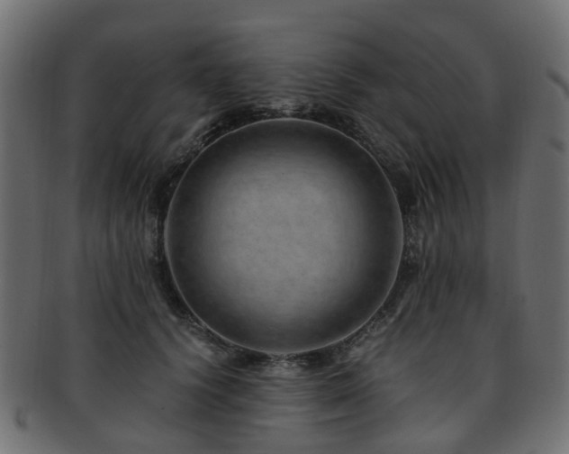 X0000093230656200709261653