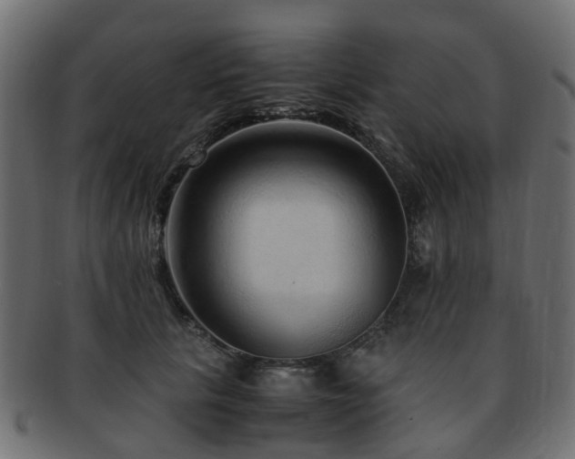 X0000093230657200709261653