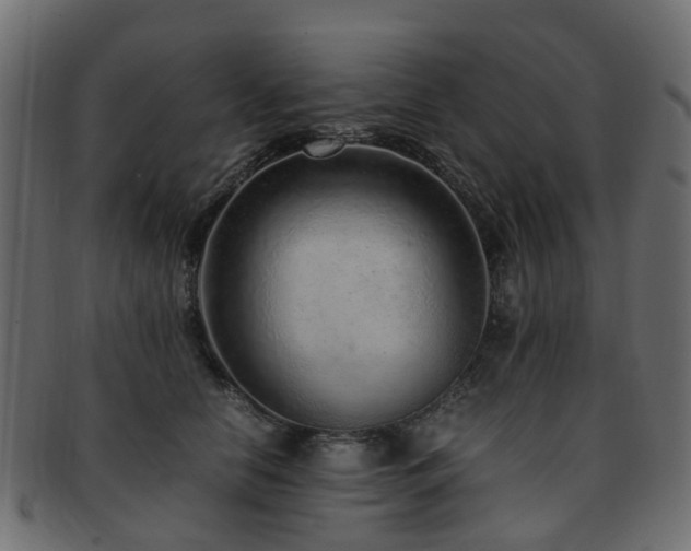X0000093230658200709261653