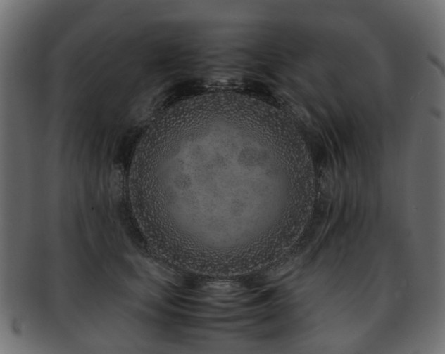 X0000093230659200709261653
