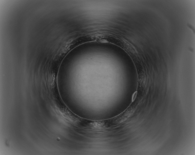 X0000093230660200709261653