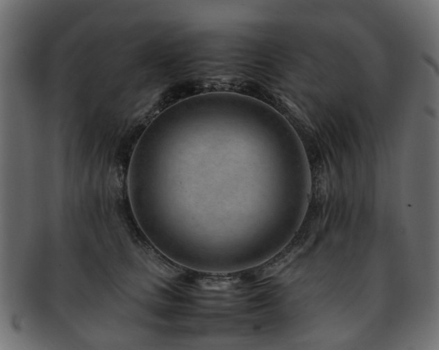 X0000093230661200709261653