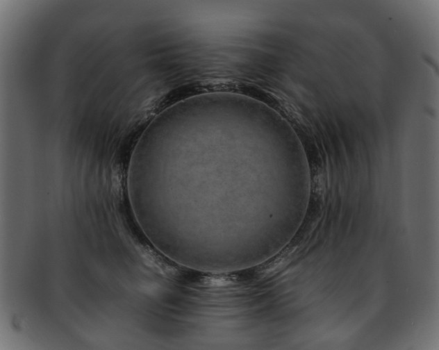 X0000093230662200709261653