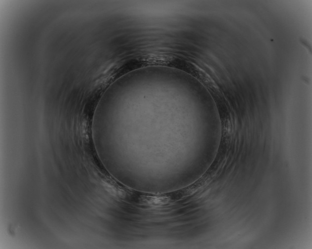 X0000093230663200709261653
