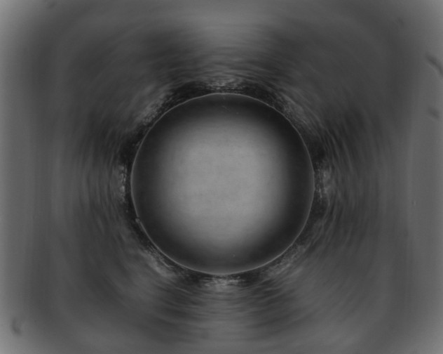X0000093230664200709261653