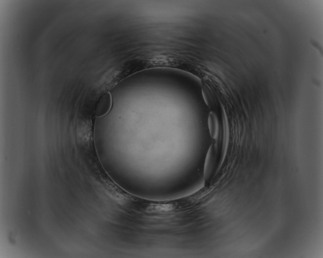 X0000093230665200709261653