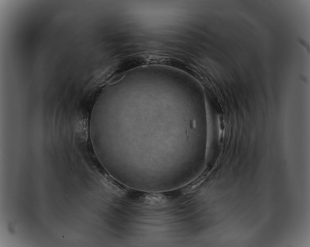 X0000093230666200709261653