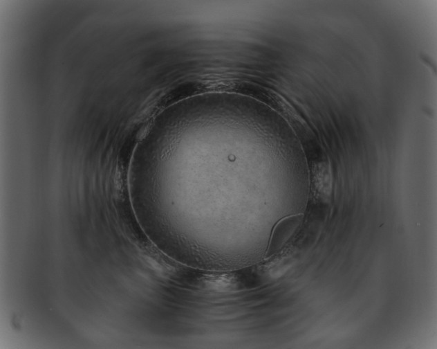 X0000093230667200709261653