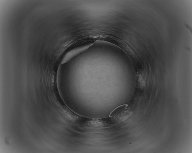 X0000093230668200709261653