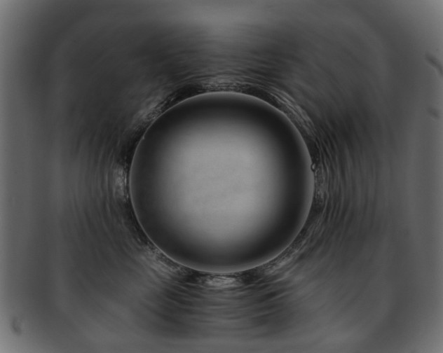 X0000093230669200709261653