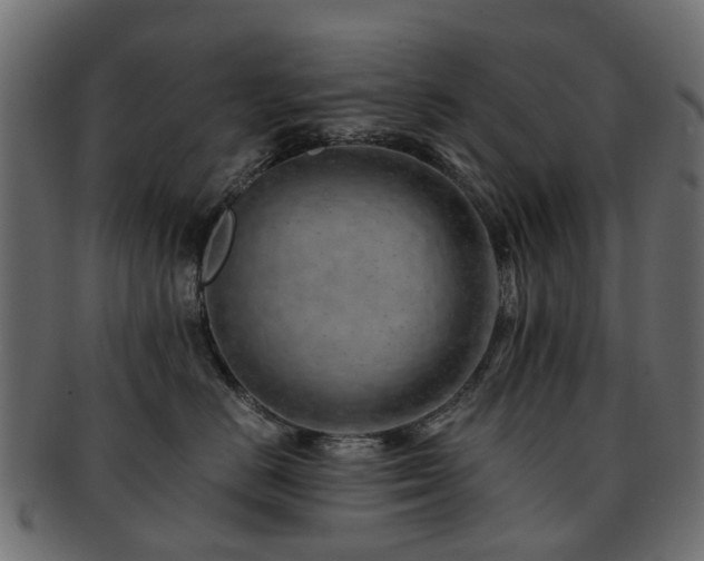 X0000093230670200709261653