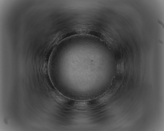 X0000093230671200709261653