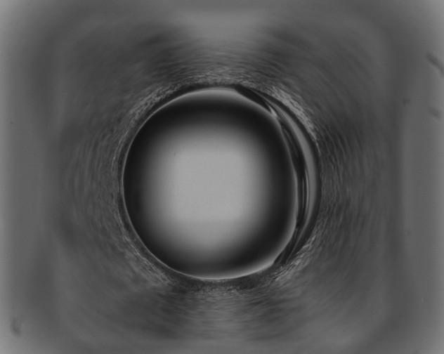X0000093230673200709261653