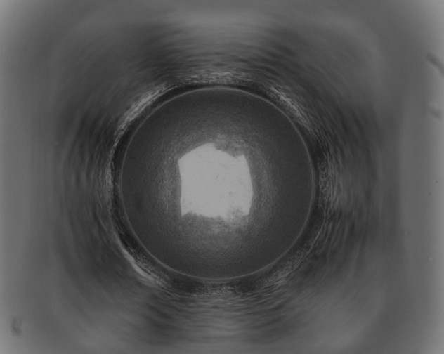 X0000093230674200709261653