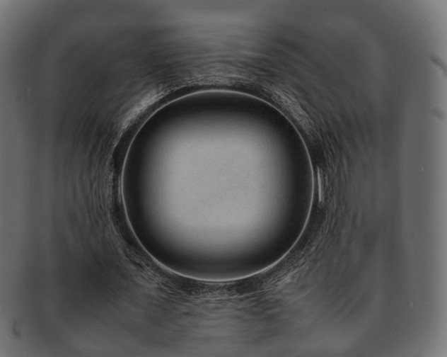 X0000093230675200709261653