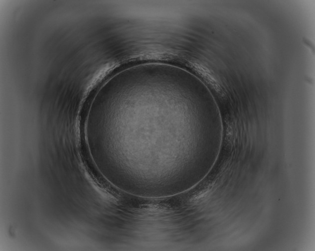 X0000093230678200709261653