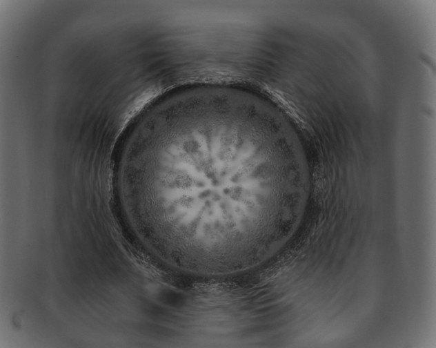 X0000093230679200709261653
