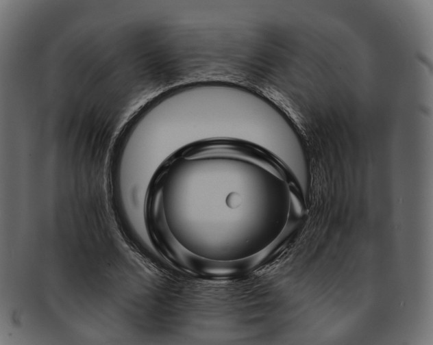 X0000093230680200709261653
