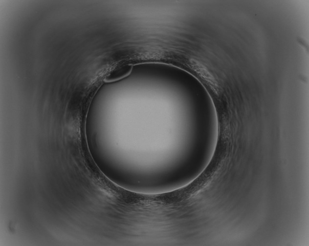 X0000093230681200709261653