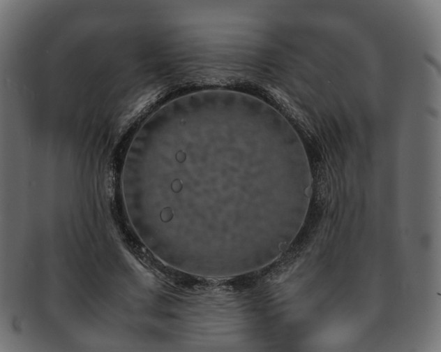 X0000093230683200709261653