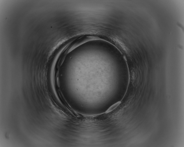 X0000093230684200709261653