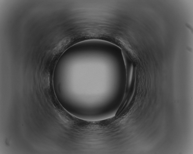 X0000093230685200709261653
