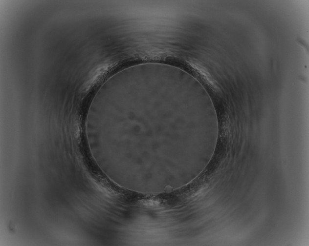 X0000093230687200709261652