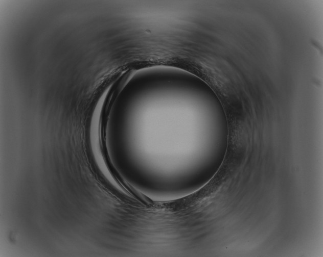 X0000093230689200709261652