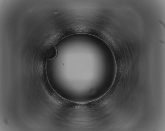 X0000093230690200709261652