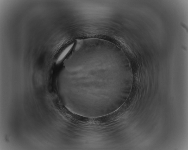 X0000093230691200709261652
