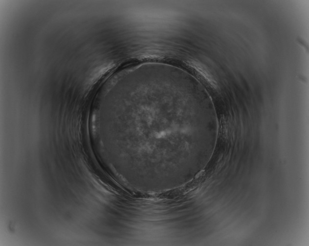 X0000093230692200709261652