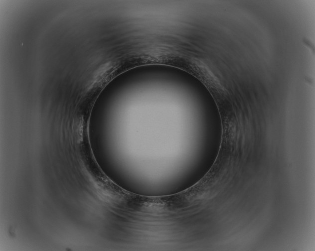 X0000093230694200709261652