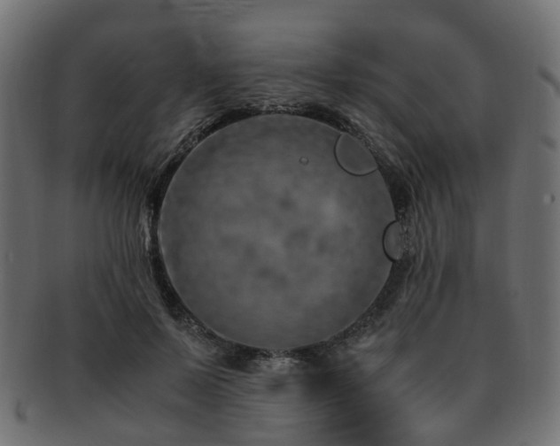 X0000093230695200709261652