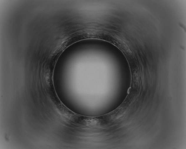 X0000093230698200709261652