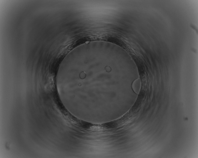 X0000093230699200709261652