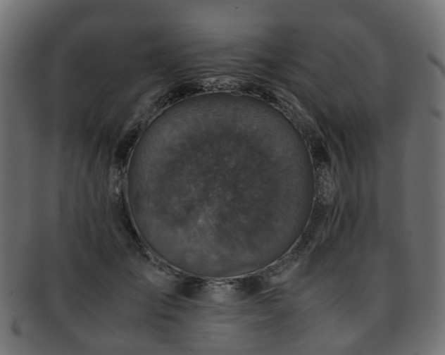 X0000093230701200709261652