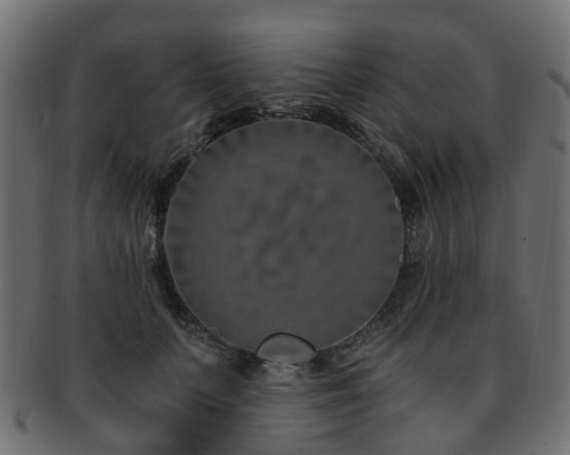 X0000093230703200709261652