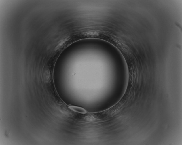 X0000093230704200709261652
