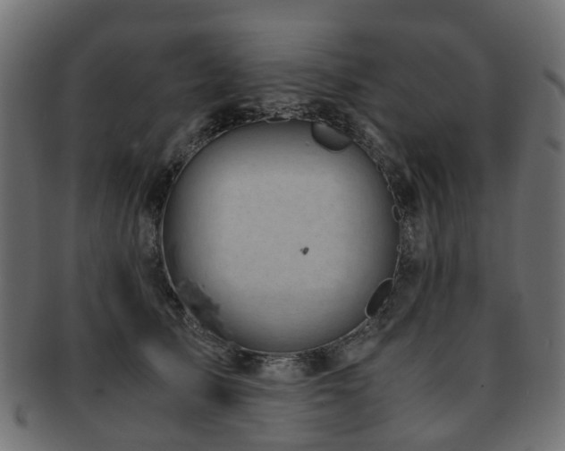 X0000093230705200709261652